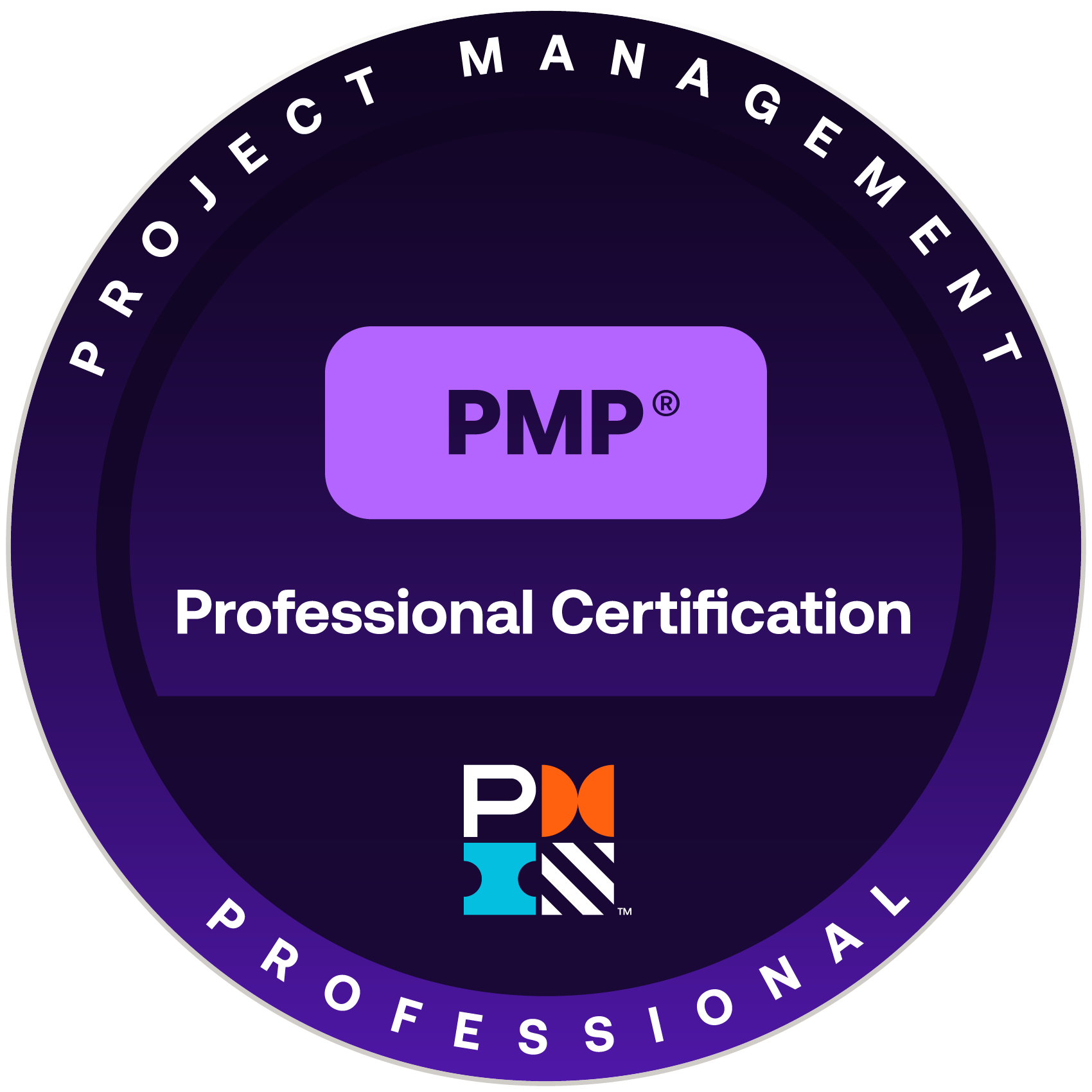 PMP: Project Management Professional